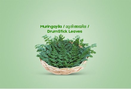 Muringayila / മുരിങ്ങയില / DrumStick Leaves  -100gm 